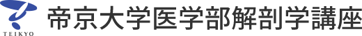 帝京大学 医学部 解剖学講座（Department of Anatomy and Cell Biology）は、細胞生物学・神経科学・臨床解剖学など多分野にわたる研究と教育を展開しています。